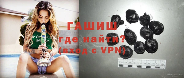 стаф Инта