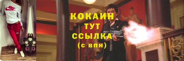 стаф Инта