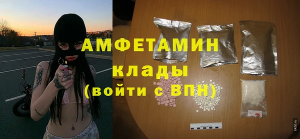 стаф Инта