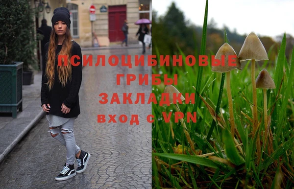 стаф Инта
