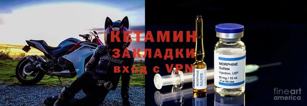 стаф Инта