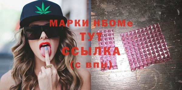стаф Инта