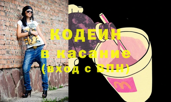 стаф Инта
