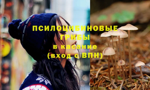 стаф Инта