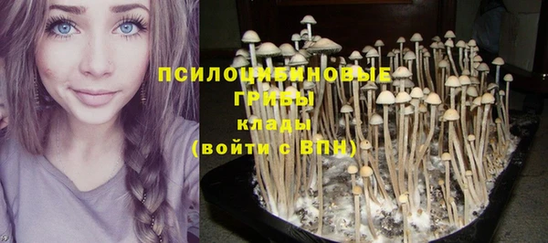 mix Иннополис