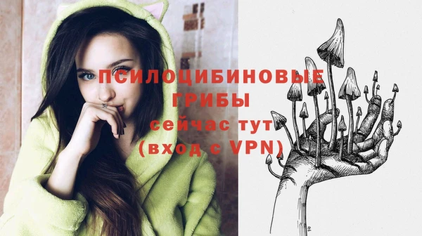 mix Иннополис